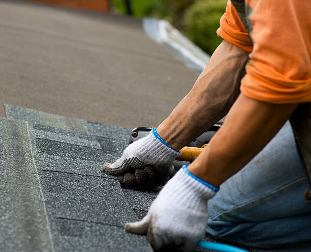Gutter Installation and Roofing in Lake Erie Beach, NY